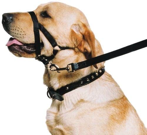 Ancol - Dog Training Halter Ancol - Dog Training Halter