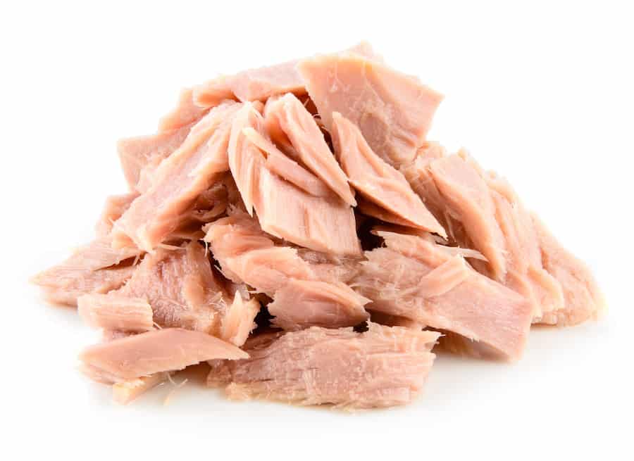 can-dogs-eat-canned-tuna-fish-tinned-tuna-safe-or-not